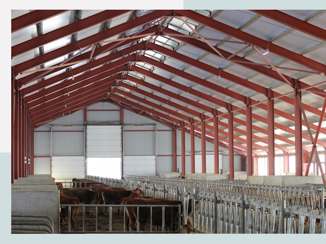 Строительство коровников в Бийске