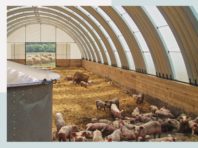 Строительство свинарников в Бийске