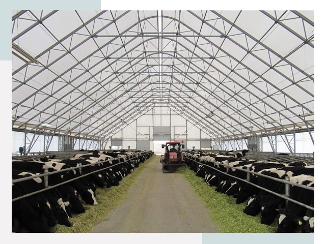 Тентовые коровники в Бийске от 623 руб. - Надежно и доступно