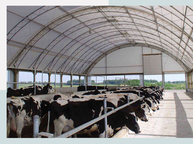 Тентовые коровники в Бийске